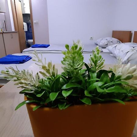 Apartment Riki 3 Near Bus Station Οχρίδα Εξωτερικό φωτογραφία
