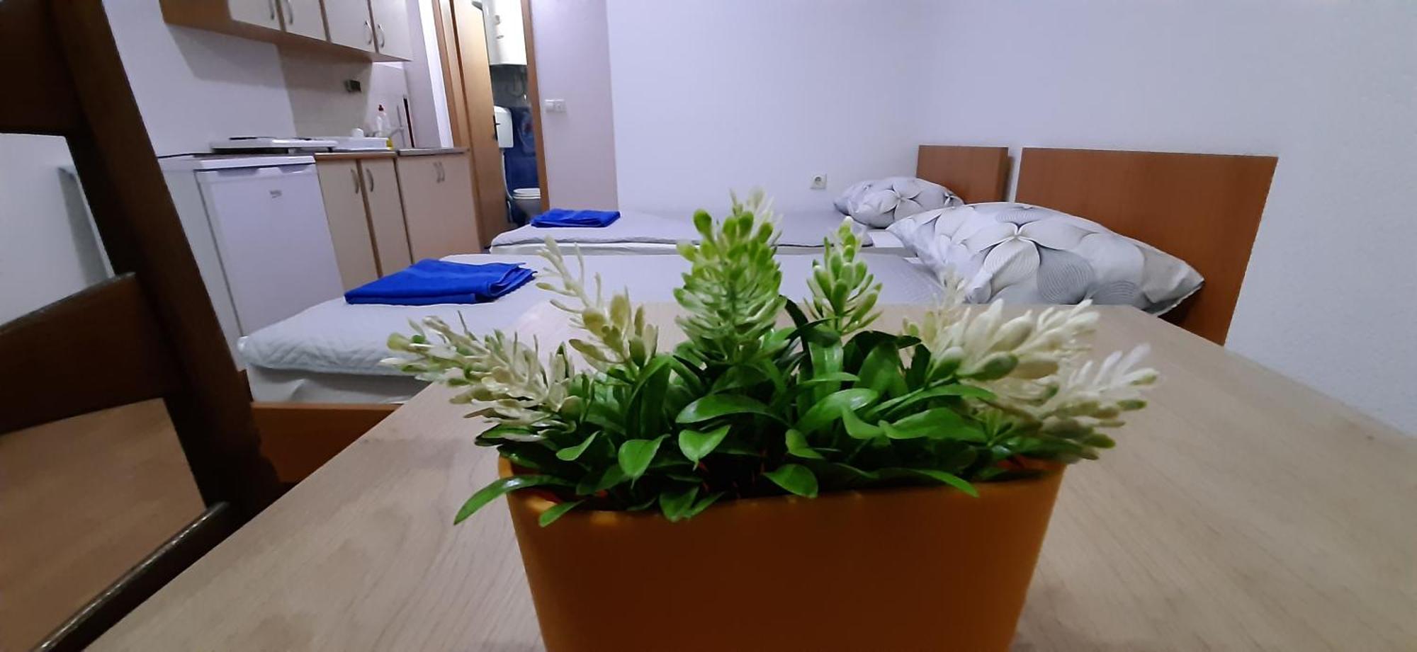 Apartment Riki 3 Near Bus Station Οχρίδα Εξωτερικό φωτογραφία